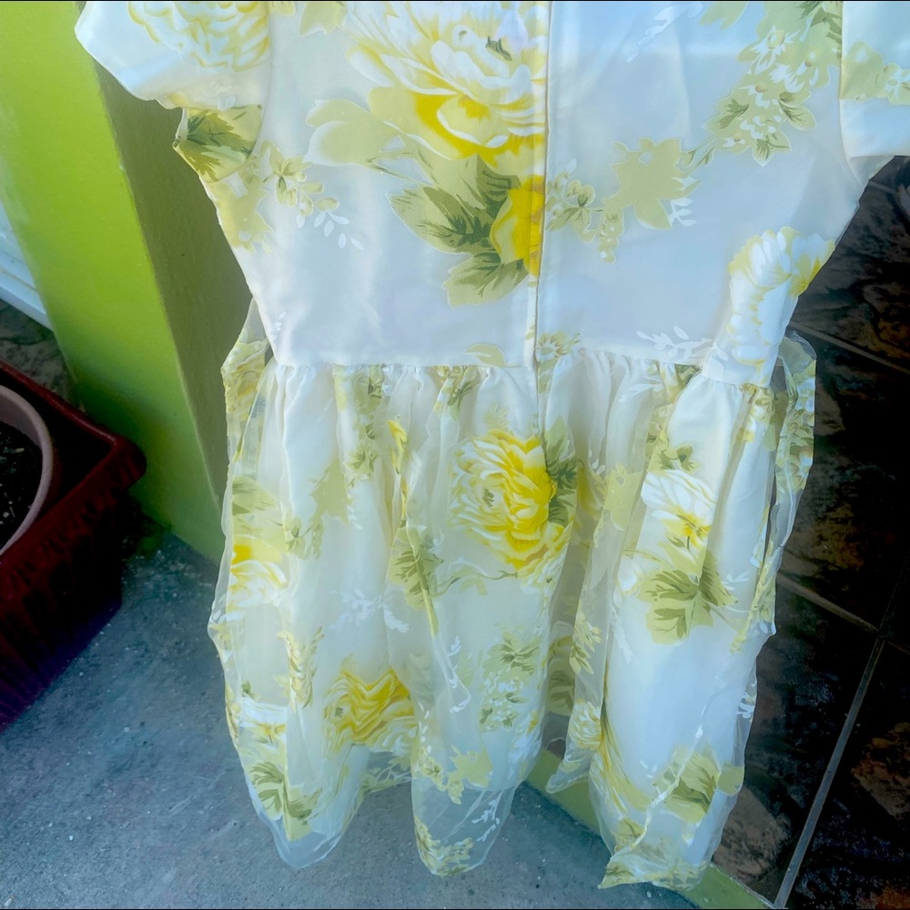 Beautiful sheer line dress.yellow , shades of green…the photos are accurate.